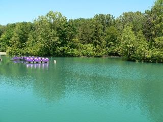 Pearson Metropark Paddleboats