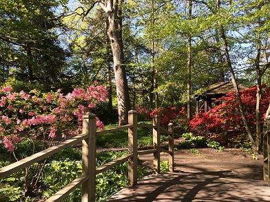 Path at Toledo Botanical Garden