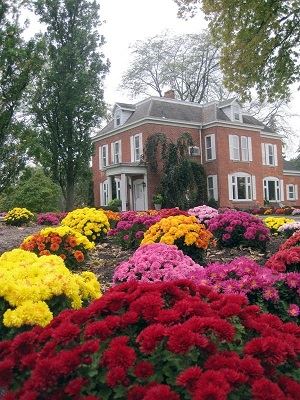 Fall in the Schedel Gardens