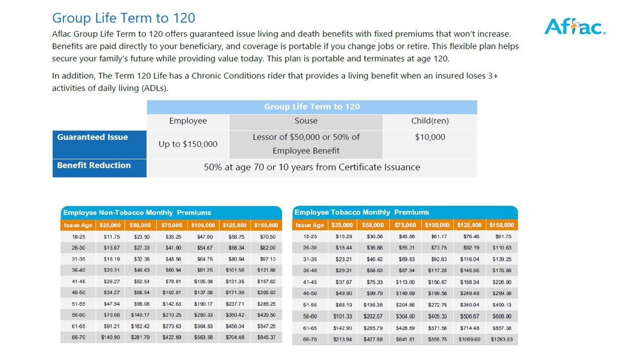 Group Term 120 Life Insurance