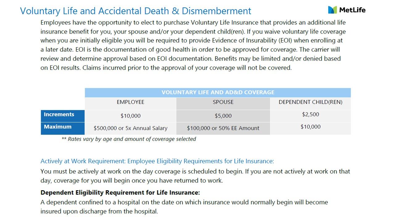 Voluntary Life Insurance